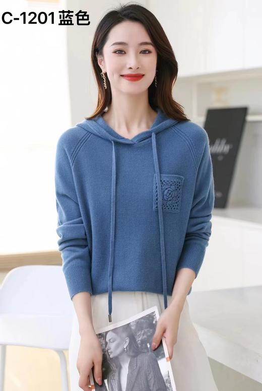 80640321 05356505 100%绵羊毛气质休闲毛衣 商品图1