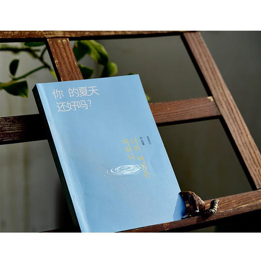 你的夏天还好吗 金爱烂 著 文学 商品图3