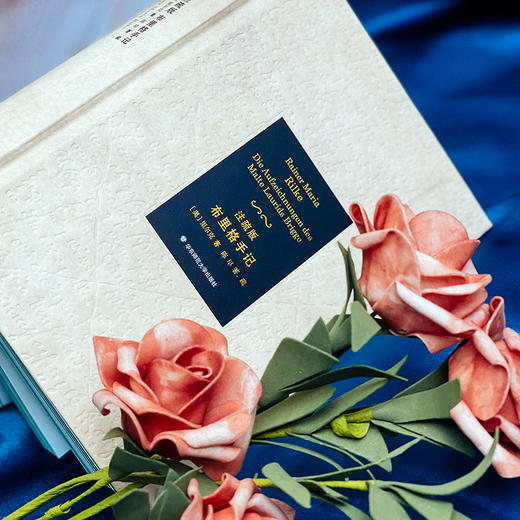 注疏版布里格手记 外国小说 六点图书 里尔克 著 陈早 著 疏 商品图6