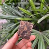 【陈皮白茶】紧压小饼干5g/片/茶底为2016年福鼎白茶/150/罐 商品缩略图1