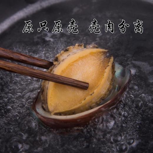 冻鲍鱼活鲍加工速冻生制调味水产制品250g±10 商品图1
