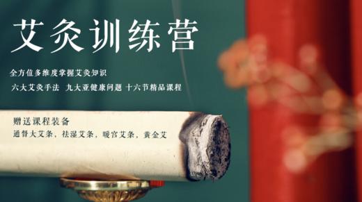 第四课 艾灸手法「定，旋，啄」 商品图0