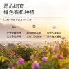 羽心堂 凡多姆玫瑰花冠王15g/30g 商品缩略图4