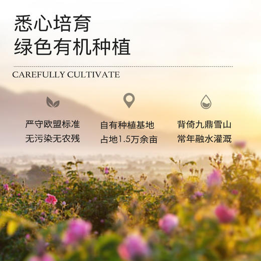 羽心堂 凡多姆玫瑰花冠王15g/30g 商品图4