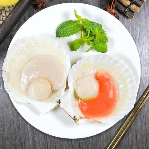 新睿唐冷冻半壳虾夷扇贝新鲜大号带黄扇贝肉精选品质1000g 商品图1