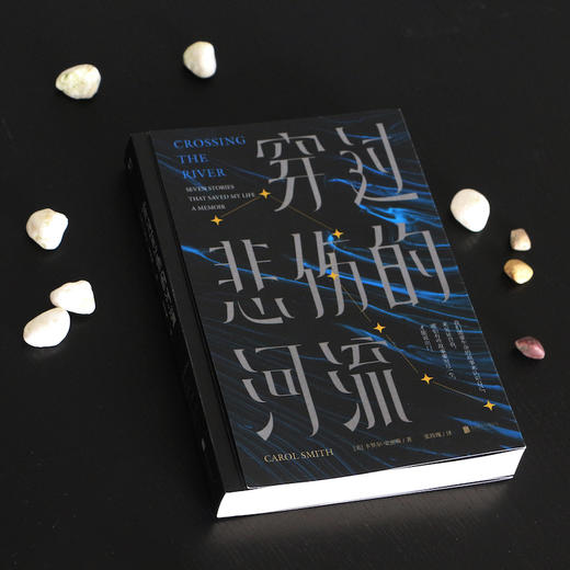 穿过悲伤的河流丨救赎故事集 商品图4