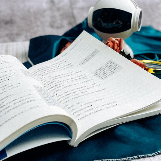 学习“看见”儿童 幼儿学习观察与活动设计46例 儿童观察 理解儿童 新手幼儿教师课程实施指导 教育智慧参考书 商品图7