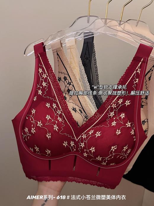 【应季好物】法式小苍兰微塑美体内衣318# 商品图3