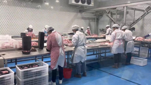 【云南迪庆藏猪】黑毛猪猪腿肉猪肉骨猪肉沫猪蹄猪肋骨 商品图3