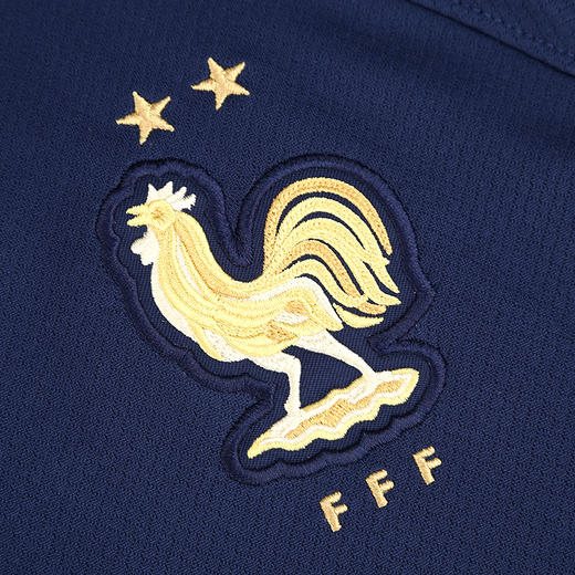 NIKE/耐克 FFF M NK DF STAD JSY SS HM 2022世界杯 法国队主场球衣 球迷版 商品图2