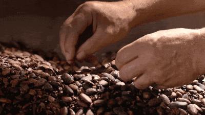 LAUENSTEIN德国城堡巧克力 商品图3