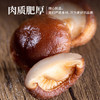 禾煜福建有机香菇干150g  鲜嫩肉厚 炒菜火锅煲汤炖煮食材 商品缩略图3