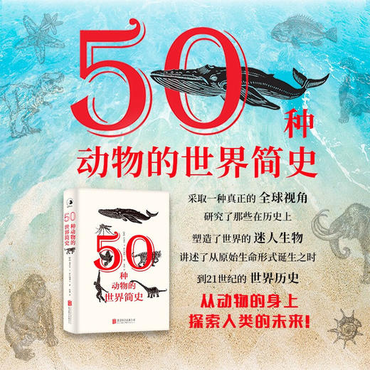 50种动物的世界简史 雅各布·F·菲尔德博士 著 科普读物 商品图1