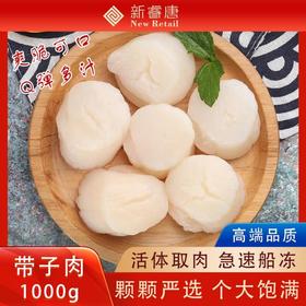 超大鲜活冷冻带子肉帆立扇贝柱精选品质海鲜水产1000g