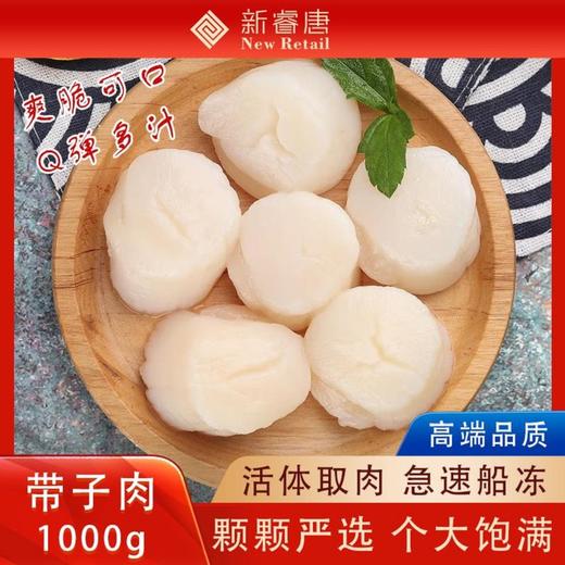 超大鲜活冷冻带子肉帆立扇贝柱精选品质海鲜水产1000g 商品图0