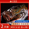 进口生冻美洲螯龙虾大号波士顿龙虾2只装350g每只MSC认证 商品缩略图0