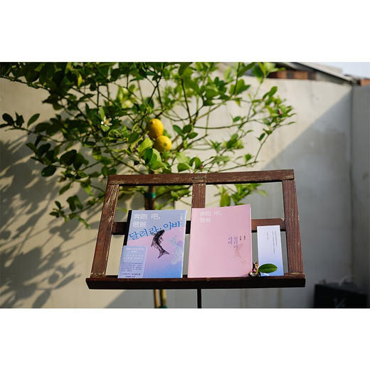 奔跑吧  爸爸 金爱烂 著 文学 商品图2