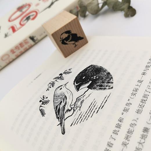 50种动物的世界简史 雅各布·F·菲尔德博士 著 科普读物 商品图2