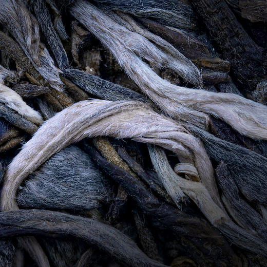 【圣兽—圣龟】2018年多产区茶王树拼配颠覆认知级神品云南普洱茶生茶易武茶区巅峰拼配7饼*357g茶饼 商品图3