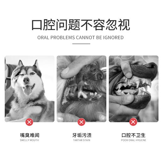 宝莱美露宠物漱口水400ml蜜桃味清洁口腔 去牙垢 可吞咽 持续使用效果更佳！ 商品图4