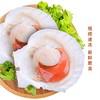 新睿唐冷冻半壳虾夷扇贝新鲜大号带黄扇贝肉精选品质1000g 商品缩略图2