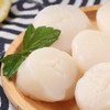 超大鲜活冷冻带子肉帆立扇贝柱精选品质海鲜水产1000g 商品缩略图1