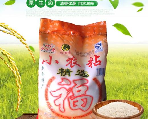 401新会小农粘米1包（10斤装） 商品图0
