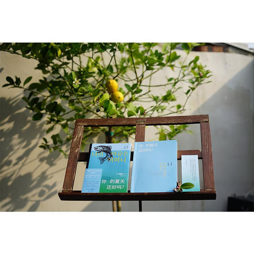 你的夏天还好吗 金爱烂 著 文学 商品图2