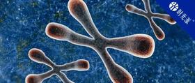延长端粒的最好办法，是从别人那里抢？Nature子刊：效果比端粒酶强30倍