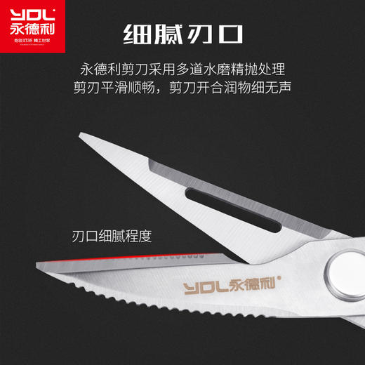 永德利厨房剪刀强力鸡骨剪专用多功能剪神器专业家用不锈钢剪骨刀 商品图0