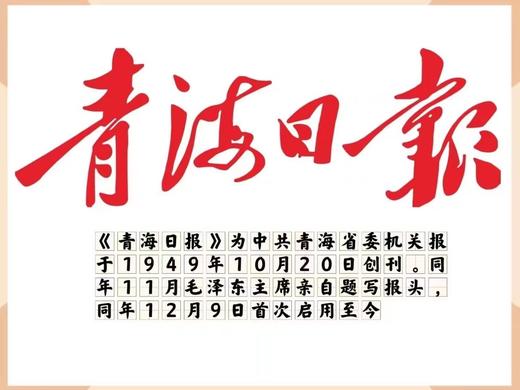 青海日报 商品图0