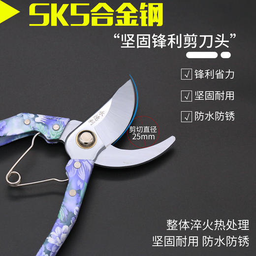 永德利花柄修枝剪园林剪家用果枝剪不锈钢绿植专用修植剪花卉剪枝 商品图0