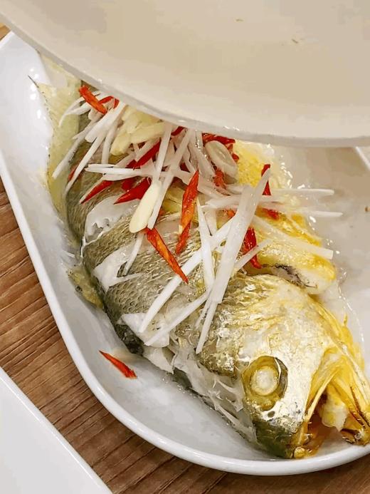 顺丰冷链包邮【新鲜单冻大黄鱼】6条*490-500g条 FX 商品图8