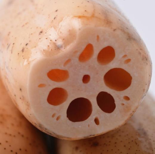 《限时立减5元》发顺丰：时令美食 洪湖莲藕 新鲜采挖 秋藕炖汤滋补4.5-5斤 商品图6