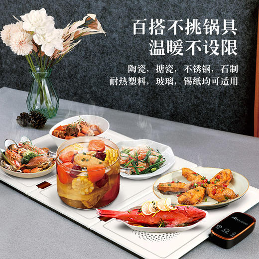 艾贝丽 / 暖菜板ABL-JR29 商品图0