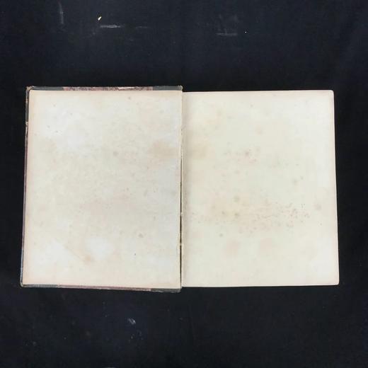 约19世纪后期 托马斯·摩尔《爱尔兰旋律/拉拉·露哈》 数百幅版画插图 漆布精装16开 商品图2