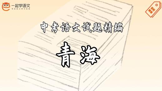 中考语文试题精编·青海 商品图0