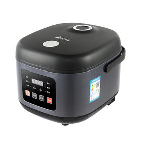 艾贝丽 /电饭煲ABL-FB502