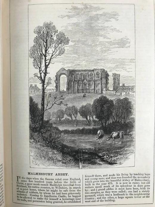 1882年 巧言小筑杂志 数百幅精美插图（含多幅彩色） 漆布精装16开 商品图12