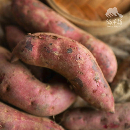 生态红薯（广州）| 合作生产* Ecological sweet potato | Coproduction 商品图1