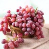 克伦森无籽葡萄 商品缩略图0
