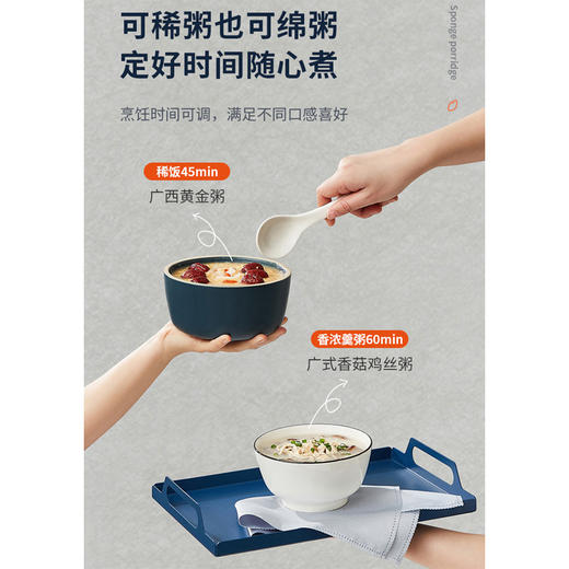 艾贝丽 /电饭煲ABL-FB502 商品图8