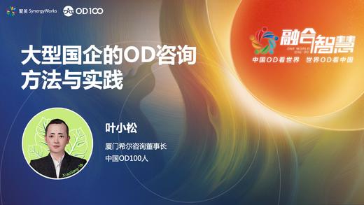 叶小松：大型国企的OD咨询方法与实践 商品图0
