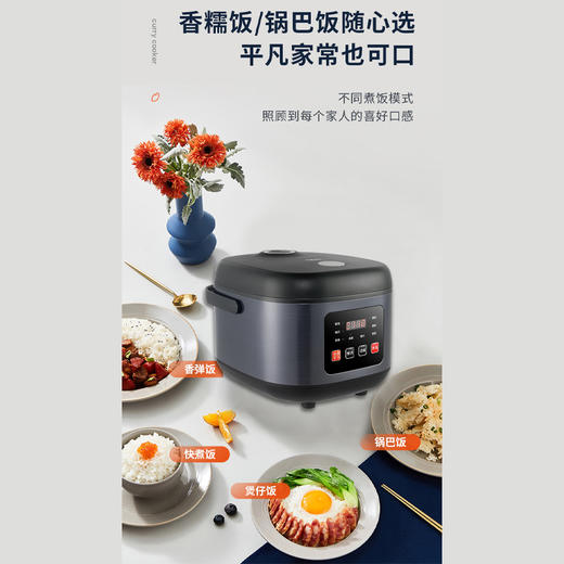 艾贝丽 /电饭煲ABL-FB502 商品图5