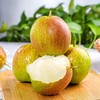 玉露香梨脆甜梨子水果新鲜 商品缩略图0