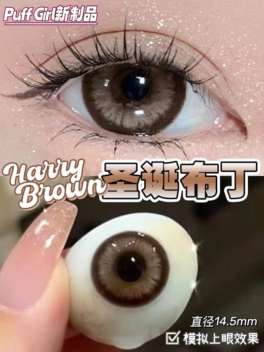 PuffGirl（Puff Girl）美瞳年抛 圣诞布丁 直径14.5mm着色14.0mm 商品图5