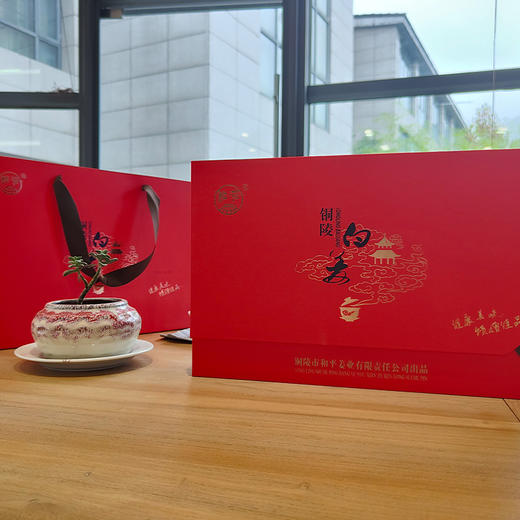 铜陵嫩姜芽礼盒（400g糖醋嫩姜芽1罐 + 400g酱汁嫩姜芽1罐 ） 商品图4