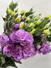 【洋桔梗】--波浪浅紫  若干枝/扎 商品缩略图5