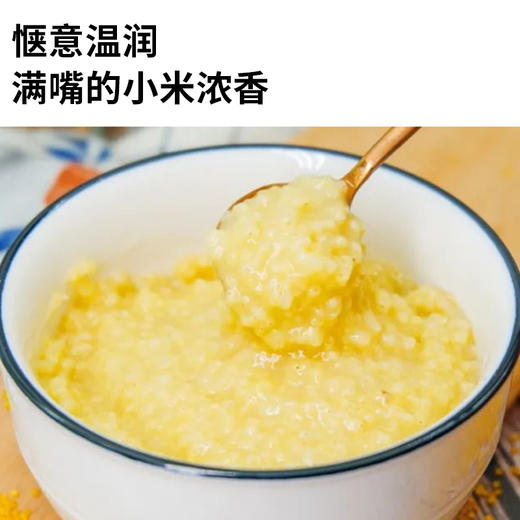 【优选杂粮】袋鼠小布山西黄小米 商品图1