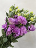 【洋桔梗】--波浪浅紫  若干枝/扎 商品缩略图6